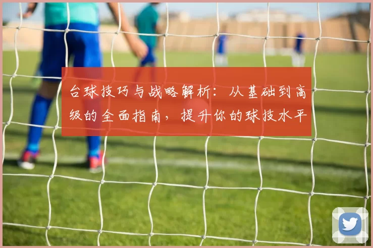 台球技巧与战略解析：从基础到高级的全面指南，提升你的球技水平