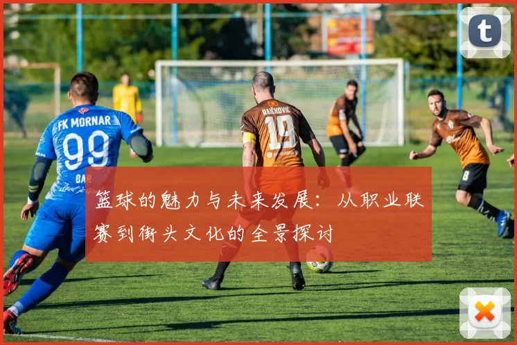 篮球的魅力与未来发展：从职业联赛到街头文化的全景探讨