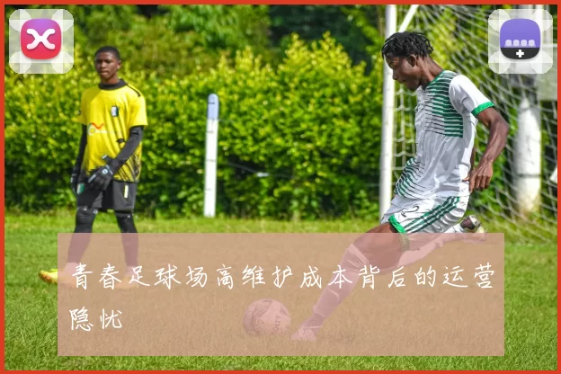青春足球场高维护成本背后的运营隐忧