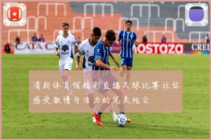 清新体育馆精彩直播足球比赛让你感受激情与活力的完美结合