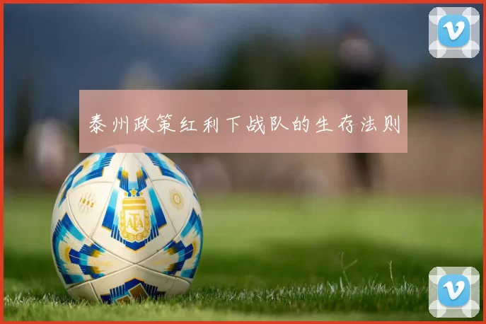 泰州政策红利下战队的生存法则
