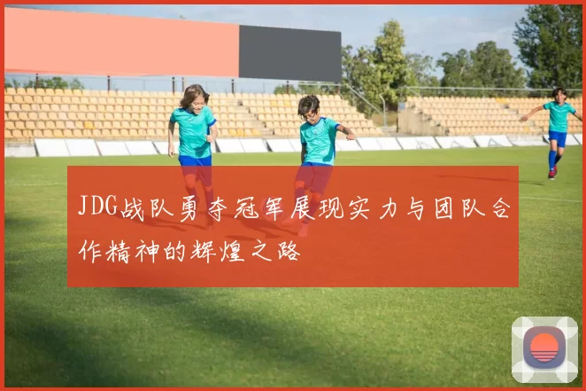 JDG战队勇夺冠军展现实力与团队合作精神的辉煌之路